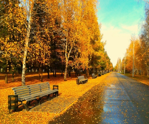 Autumn Park screenshot #1 480x400