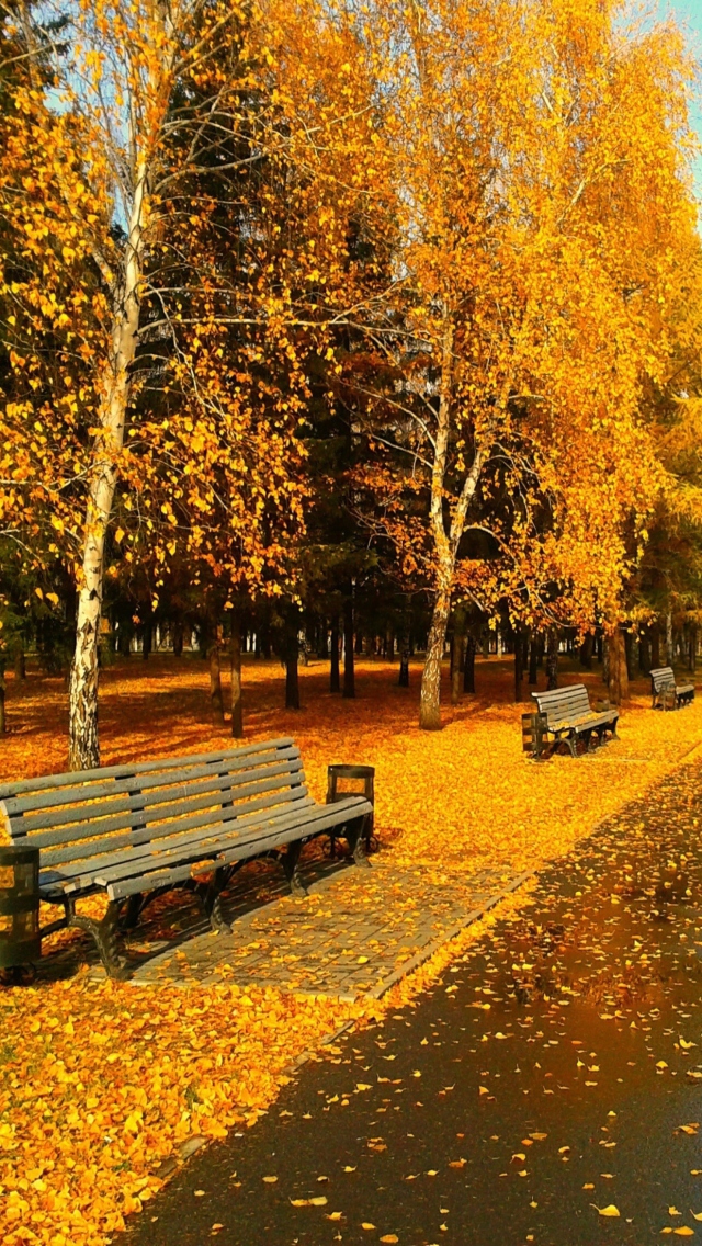 Autumn Park wallpaper 640x1136