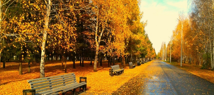 Autumn Park wallpaper 720x320
