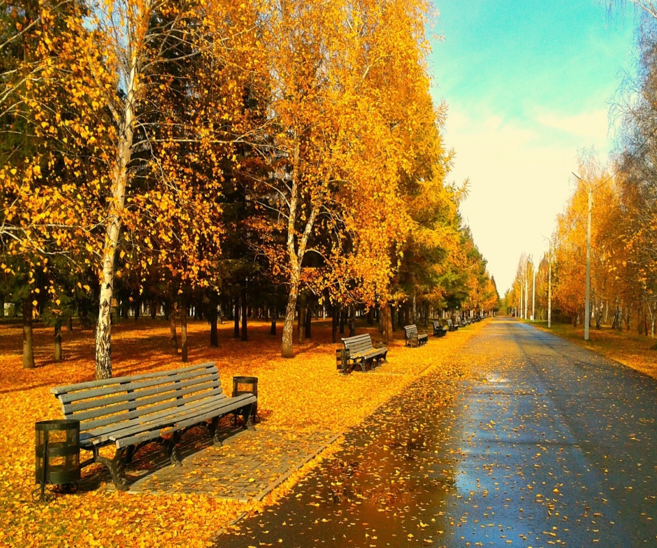 Autumn Park screenshot #1 960x800