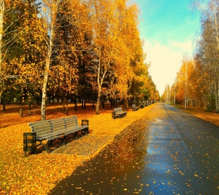 Autumn Park - Obrázkek zdarma pro iPad 2
