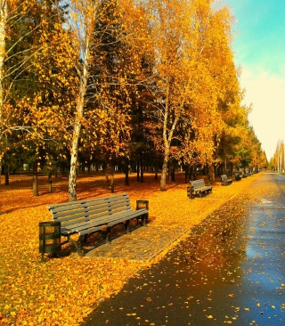 Autumn Park - Obrázkek zdarma pro Nokia X7