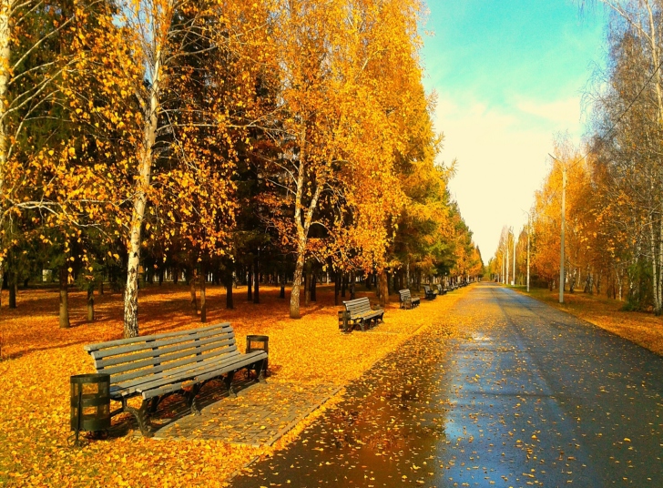 Autumn Park wallpaper