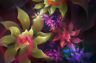 Flowers Art - Obrázkek zdarma pro HTC EVO 4G