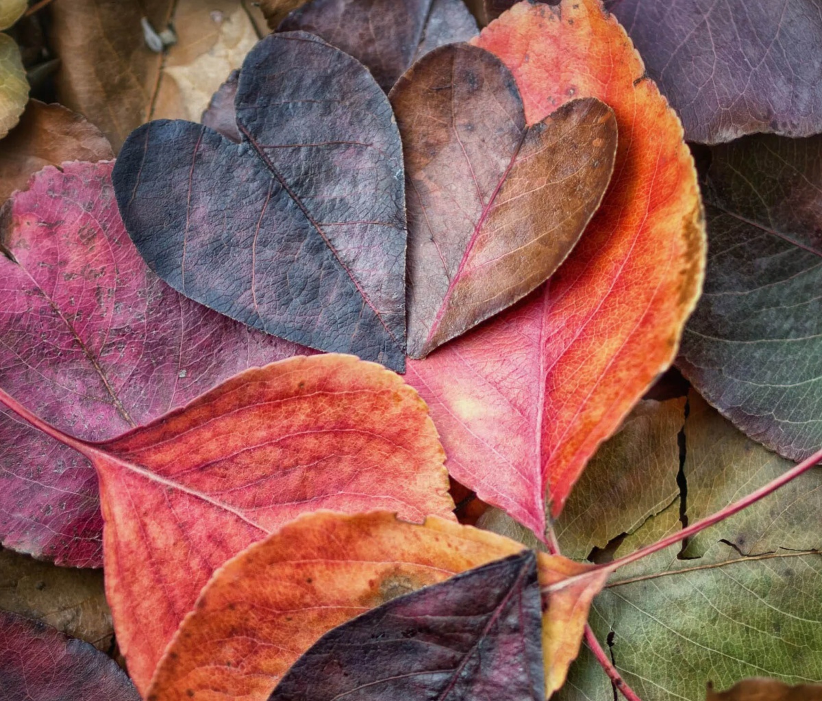 Das I Love Autumn Wallpaper 1200x1024