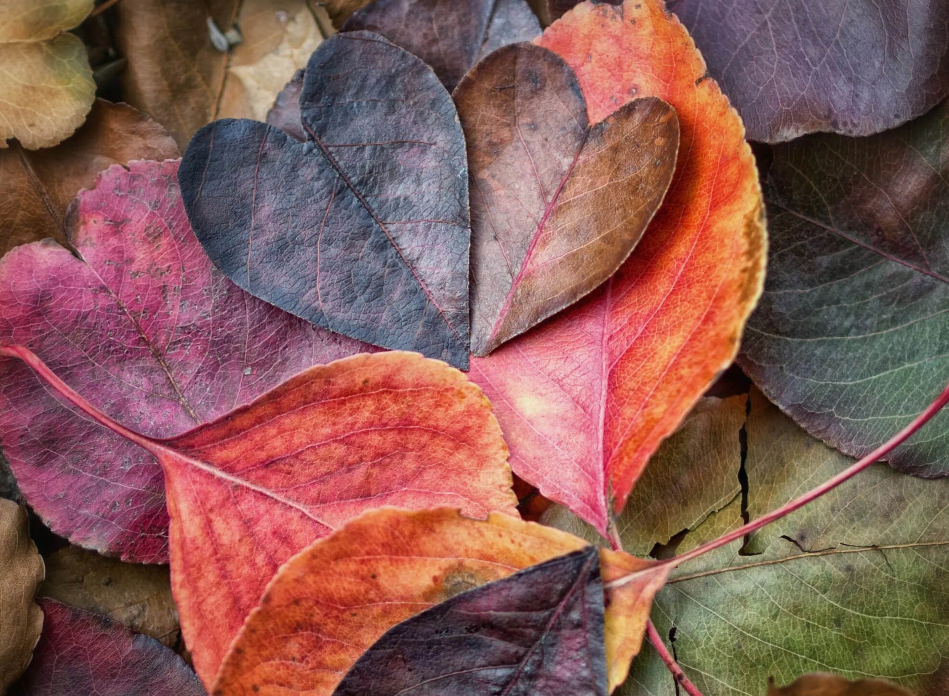Das I Love Autumn Wallpaper 1920x1408