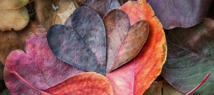 I Love Autumn wallpaper 720x320