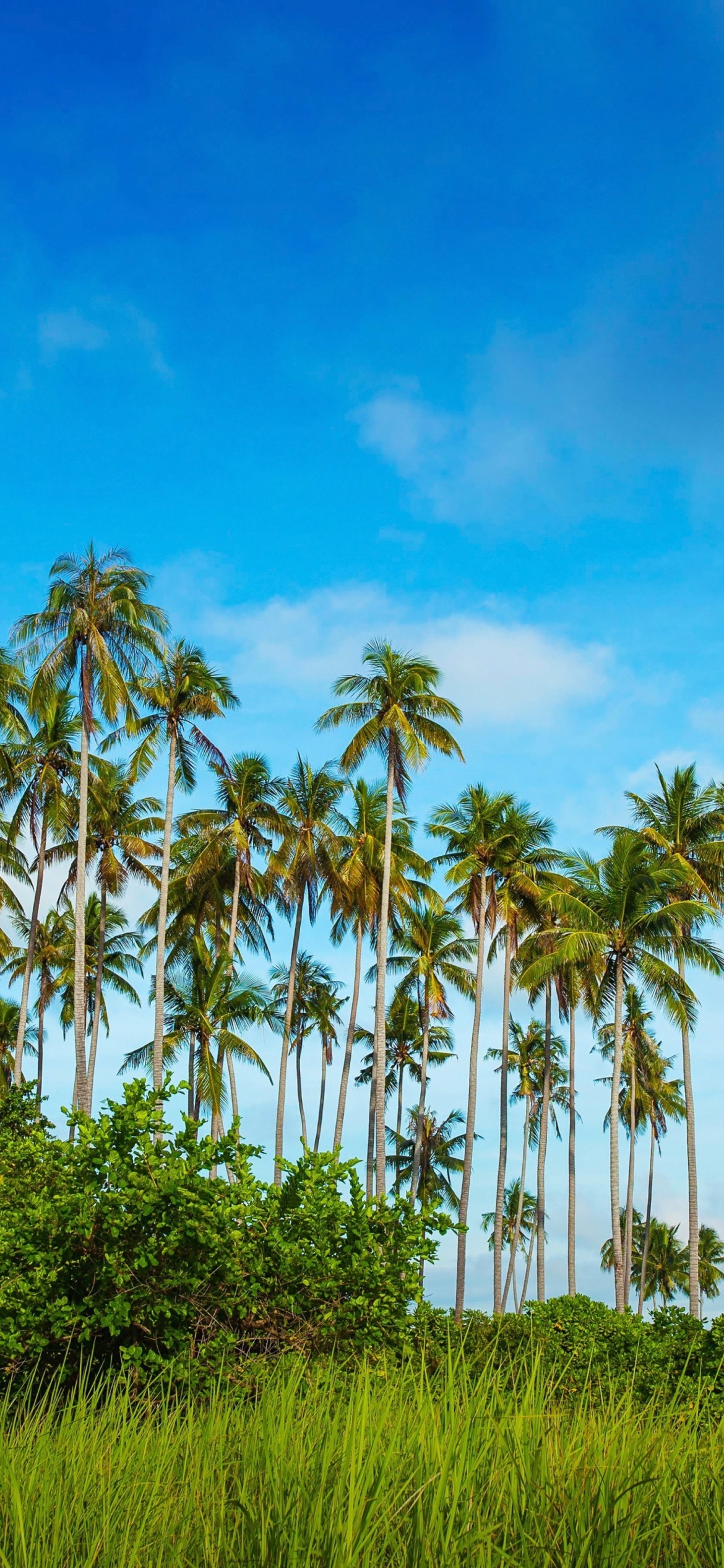 Malaysia, Bohey Dulang Island wallpaper 1170x2532