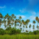 Das Malaysia, Bohey Dulang Island Wallpaper 128x128