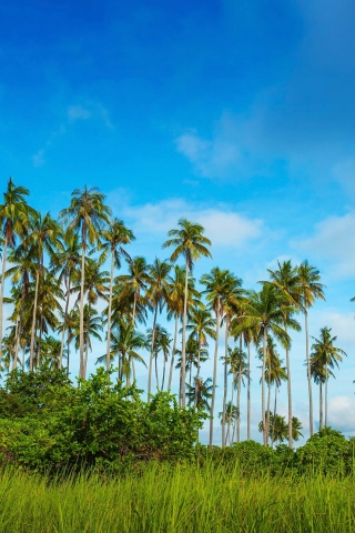 Sfondi Malaysia, Bohey Dulang Island 320x480