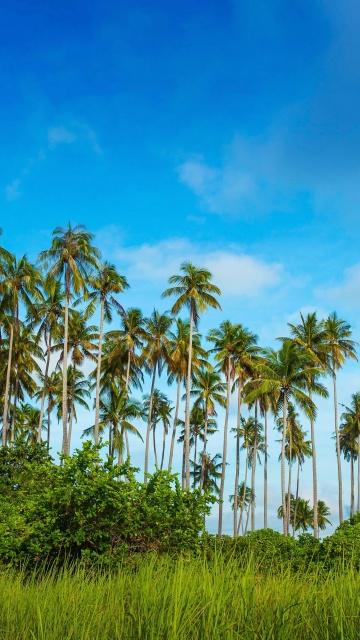 Sfondi Malaysia, Bohey Dulang Island 360x640