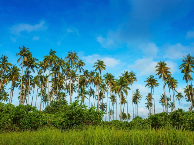 Das Malaysia, Bohey Dulang Island Wallpaper 640x480