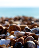 Sfondi Brighton Beach Stones 128x160