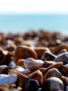 Fondo de pantalla Brighton Beach Stones 240x320