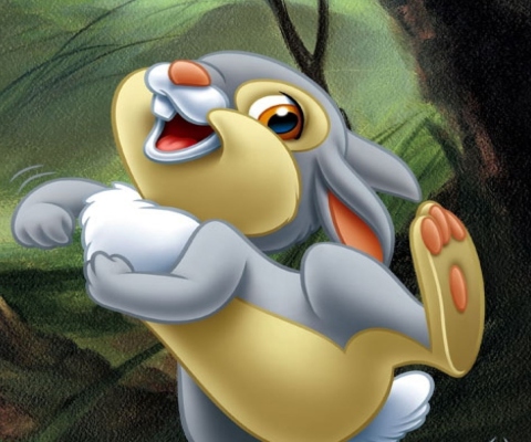 Screenshot №1 pro téma Thumper (Bambi) 480x400