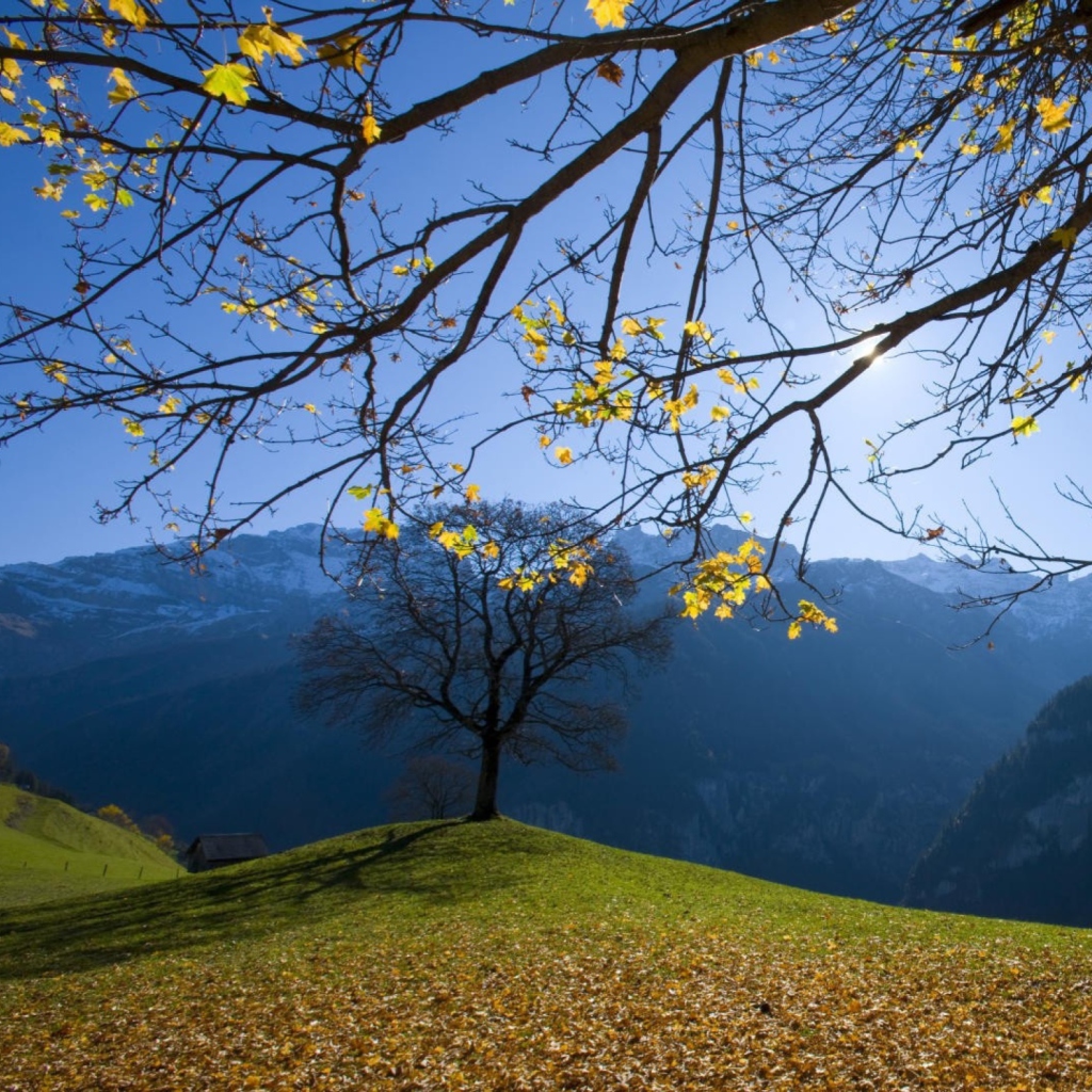 Das Sunny Autumn In The Mountains Wallpaper 1024x1024