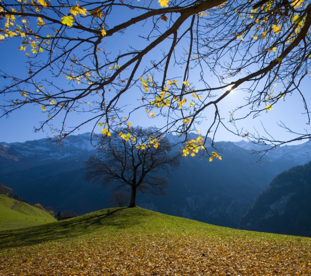 Sfondi Sunny Autumn In The Mountains 1080x960