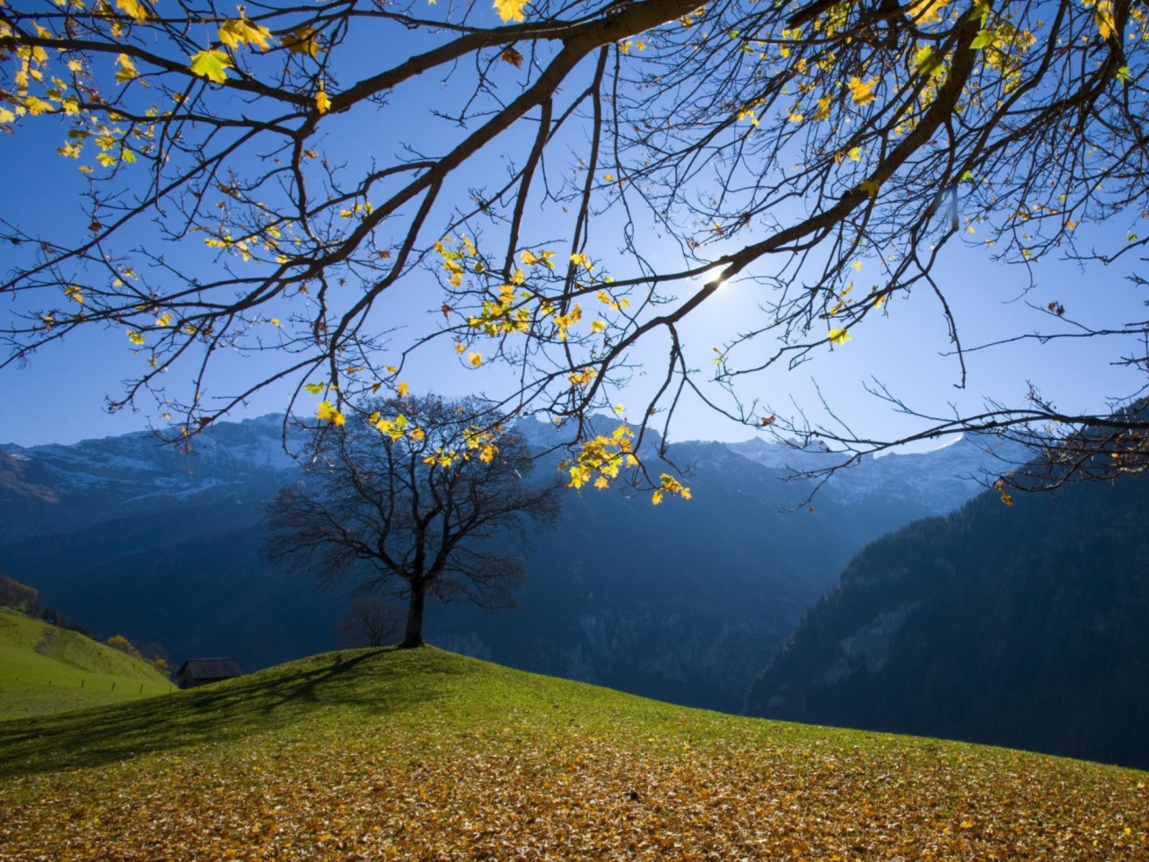 Das Sunny Autumn In The Mountains Wallpaper 1280x960