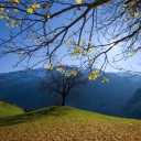 Sfondi Sunny Autumn In The Mountains 128x128