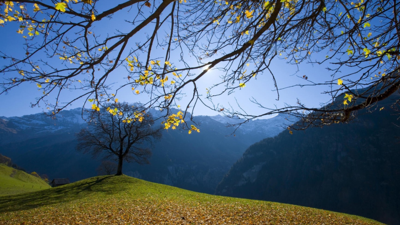 Das Sunny Autumn In The Mountains Wallpaper 1366x768