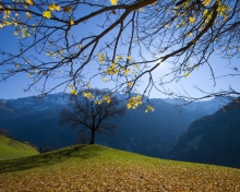 Fondo de pantalla Sunny Autumn In The Mountains 220x176