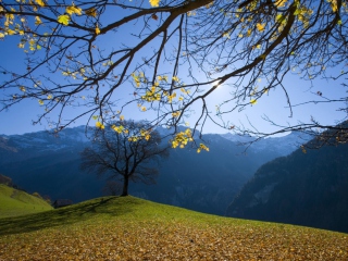 Das Sunny Autumn In The Mountains Wallpaper 320x240