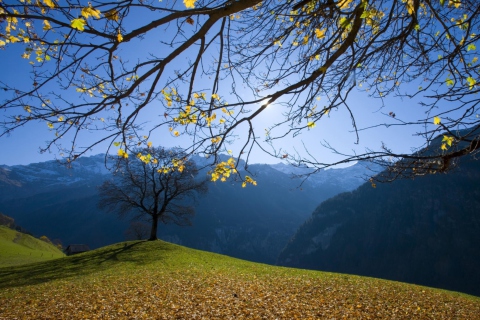 Das Sunny Autumn In The Mountains Wallpaper 480x320