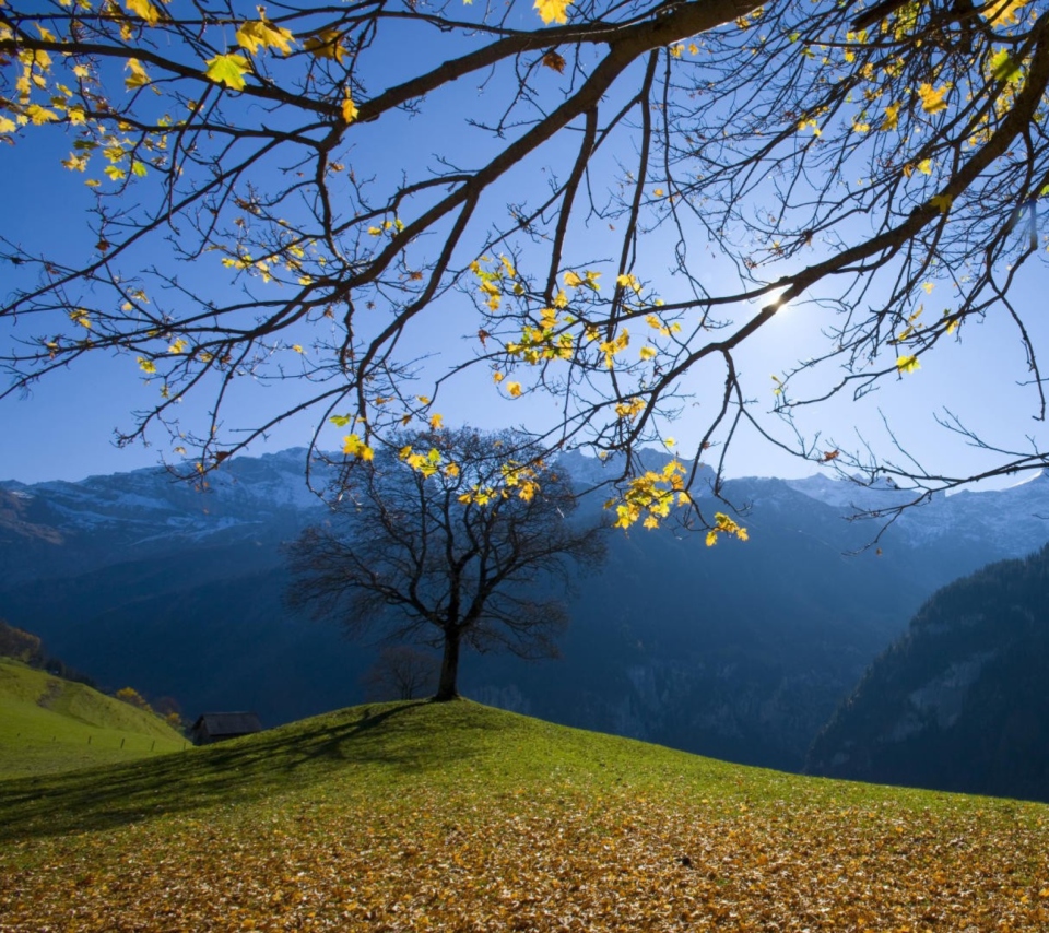 Das Sunny Autumn In The Mountains Wallpaper 960x854