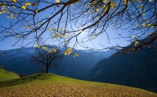 Sunny Autumn In The Mountains Wallpaper for Android, iPhone and iPad