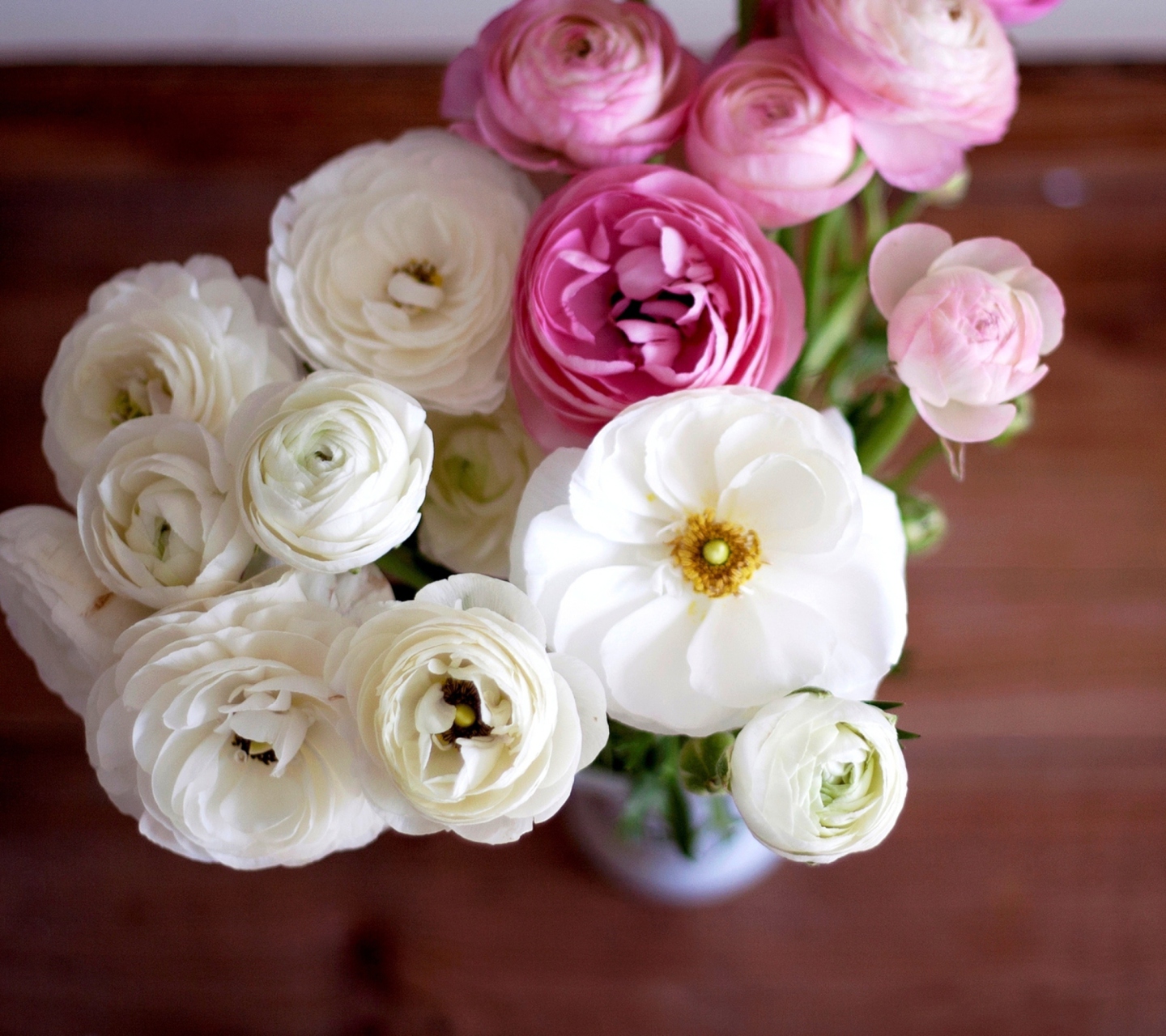 Das Amazing Ranunculus Bouquet Wallpaper 1440x1280