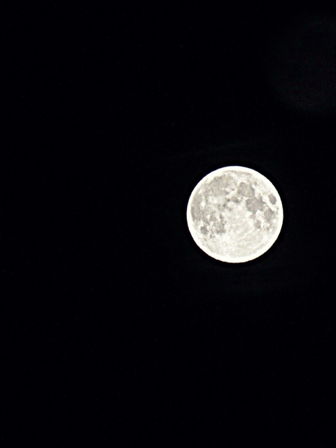 Moon In Black Sky screenshot #1 480x640