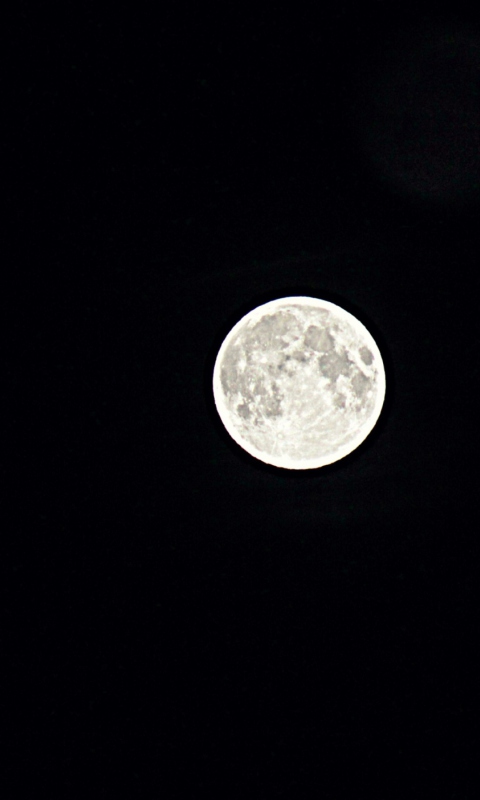 Обои Moon In Black Sky 480x800