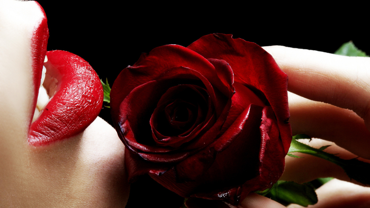 Red Rose and Lipstick wallpaper 1280x720