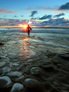 Sfondi Sunset Surfing 240x320