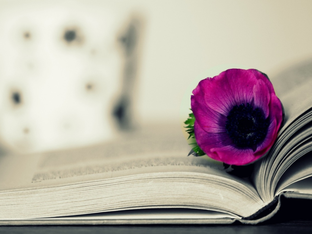 Purple Flower On Open Book wallpaper 1024x768
