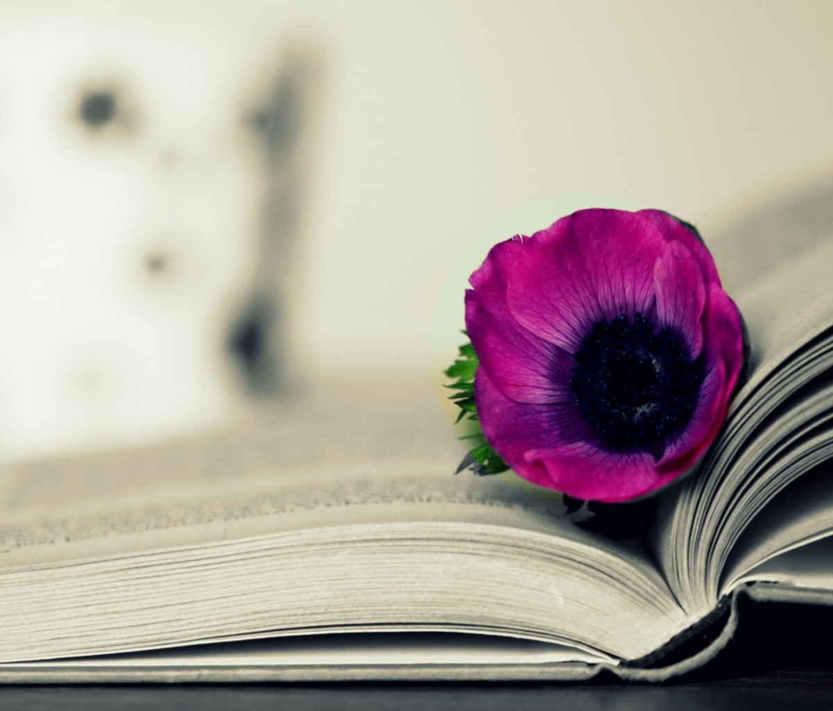 Обои Purple Flower On Open Book 1200x1024