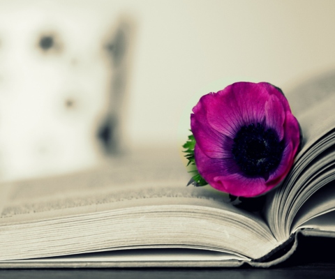 Purple Flower On Open Book screenshot #1 480x400