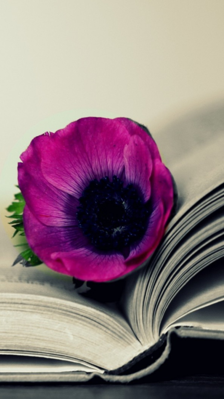 Purple Flower On Open Book wallpaper 750x1334