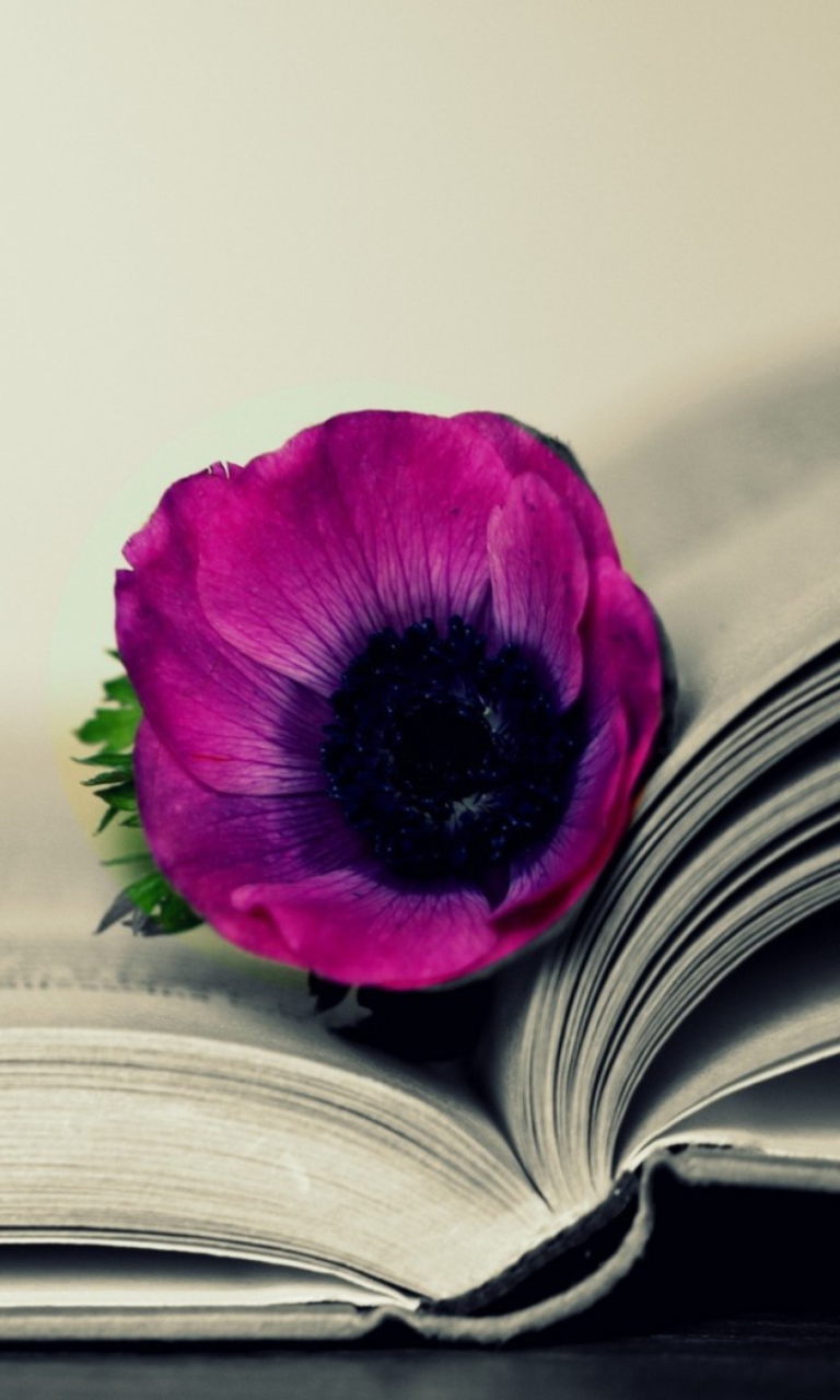 Purple Flower On Open Book screenshot #1 768x1280