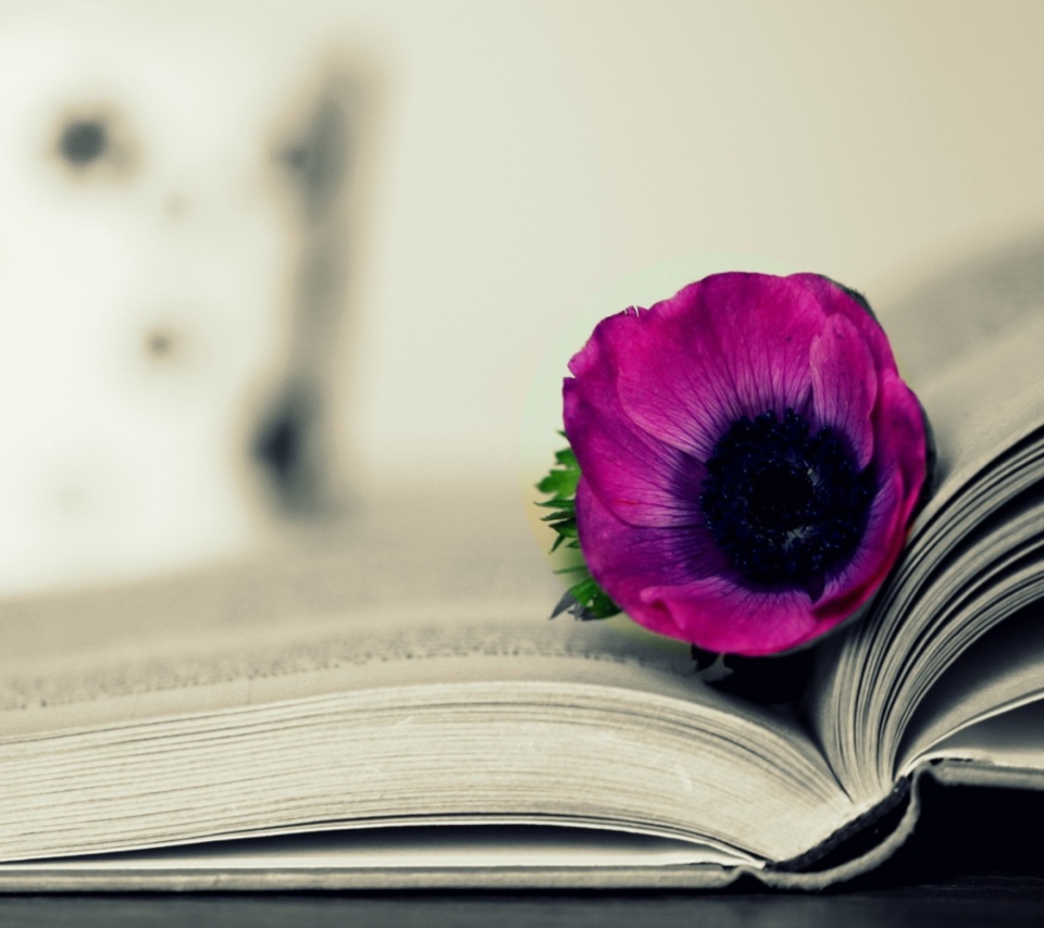 Fondo de pantalla Purple Flower On Open Book 960x854