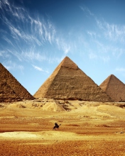 Обои Pyramids 176x220