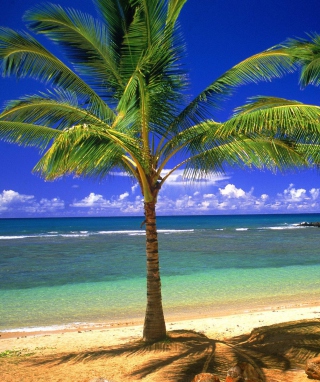 Tropical Lagoon - Obrázkek zdarma pro iPhone 4S