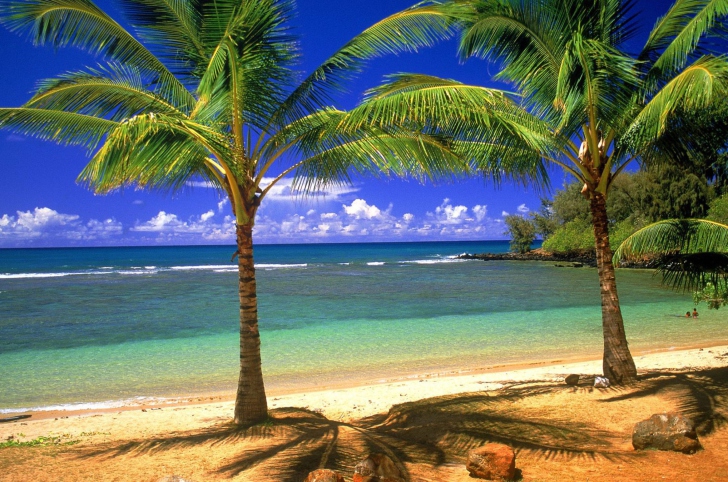 Fondo de pantalla Tropical Lagoon