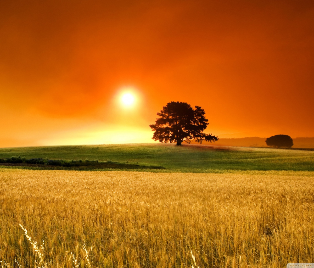 Summer Sunset screenshot #1 1200x1024