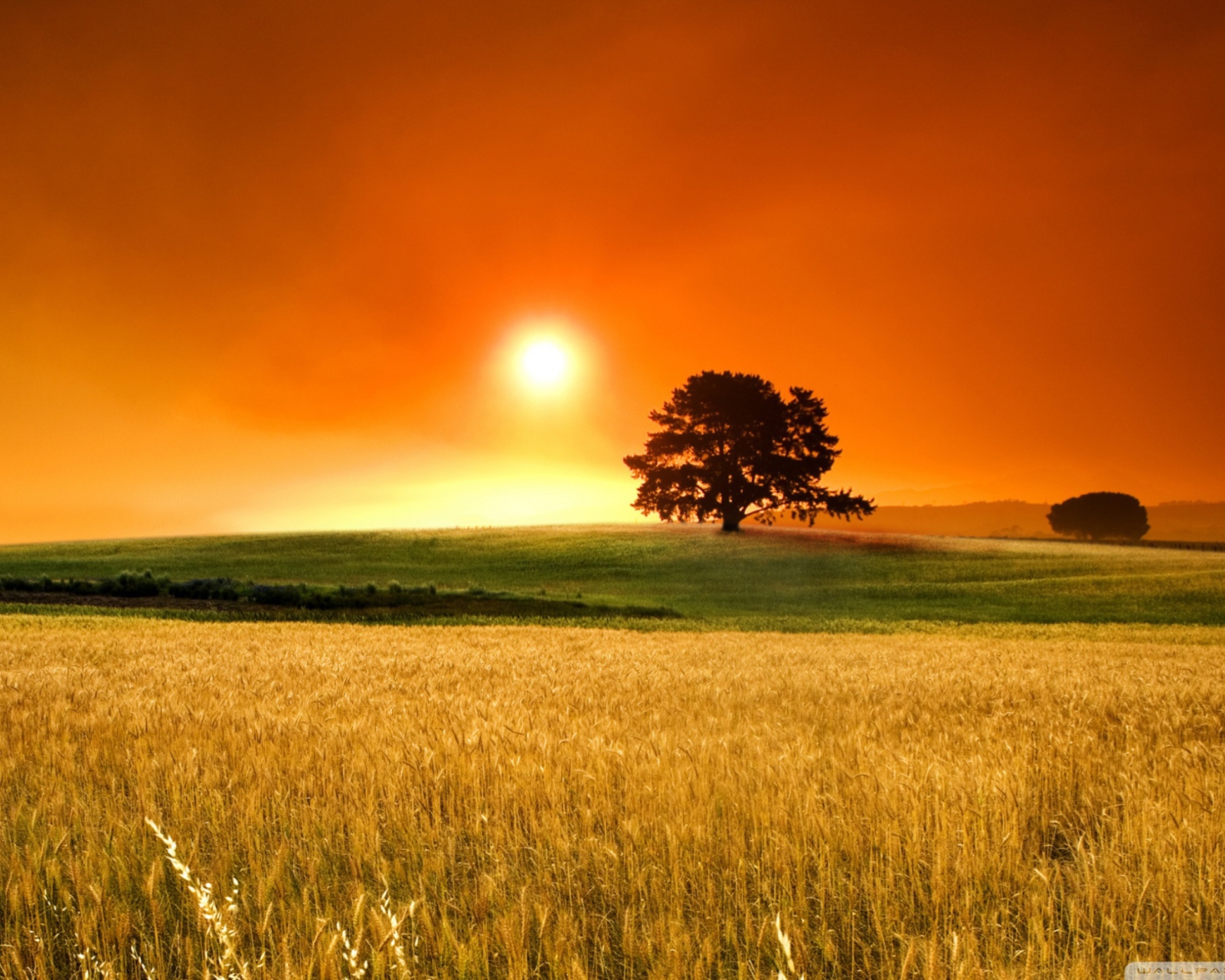 Fondo de pantalla Summer Sunset 1600x1280