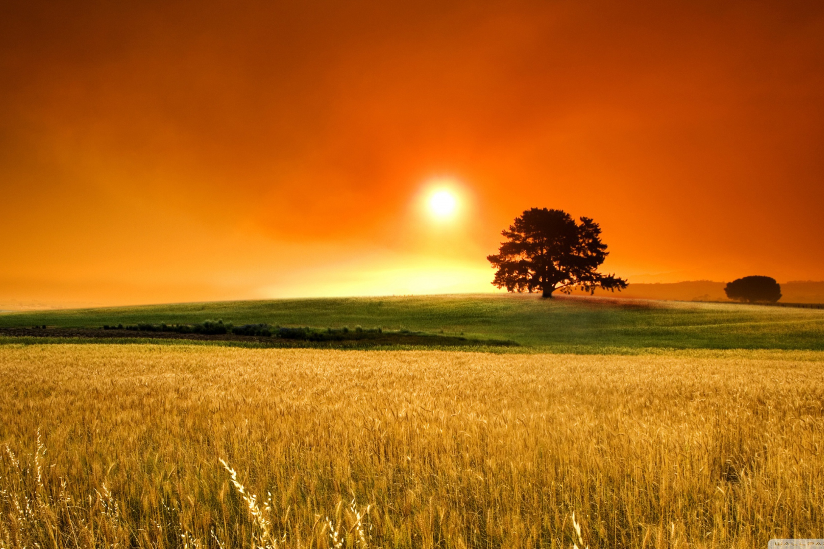 Das Summer Sunset Wallpaper 2880x1920