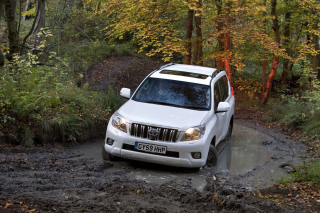 Toyota Land Cruiser Prado sfondi gratuiti per cellulari Android, iPhone, iPad e desktop