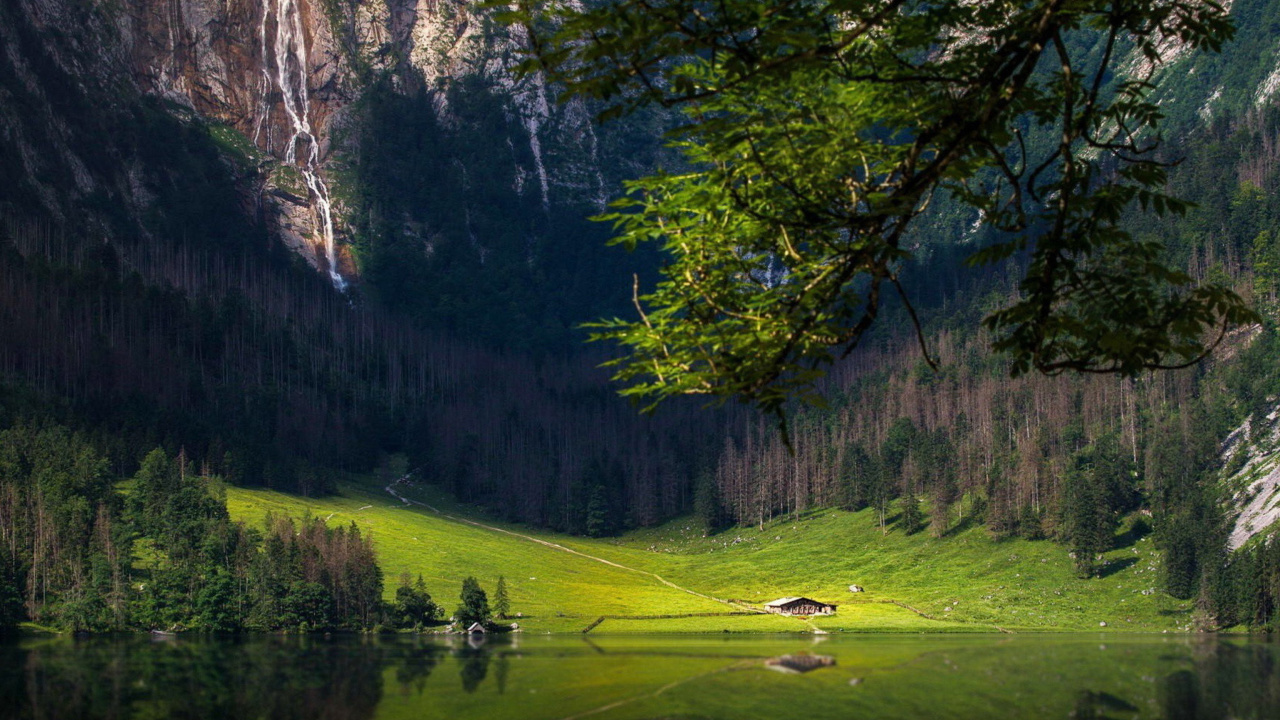Bavarian Alps and Forest wallpaper 1280x720