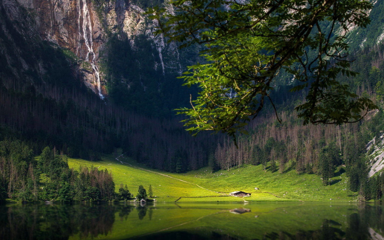 Bavarian Alps and Forest wallpaper 1280x800
