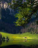 Bavarian Alps and Forest wallpaper 128x160